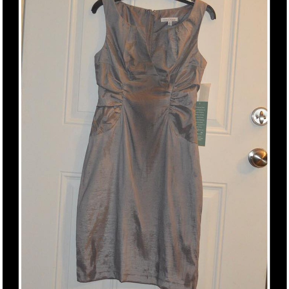 Simply Liliana Silver Holiday Dress NWT! Sz 6